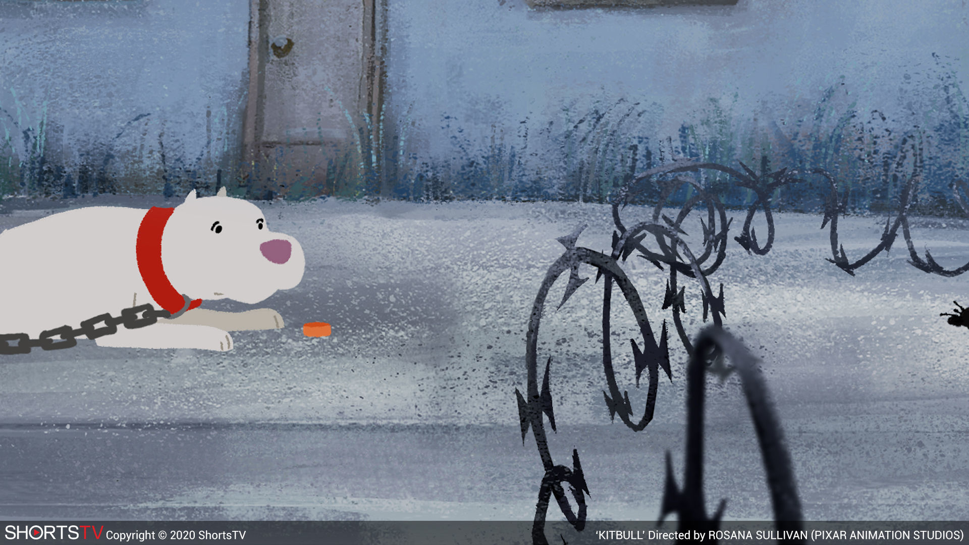 Oscar-nominated short films